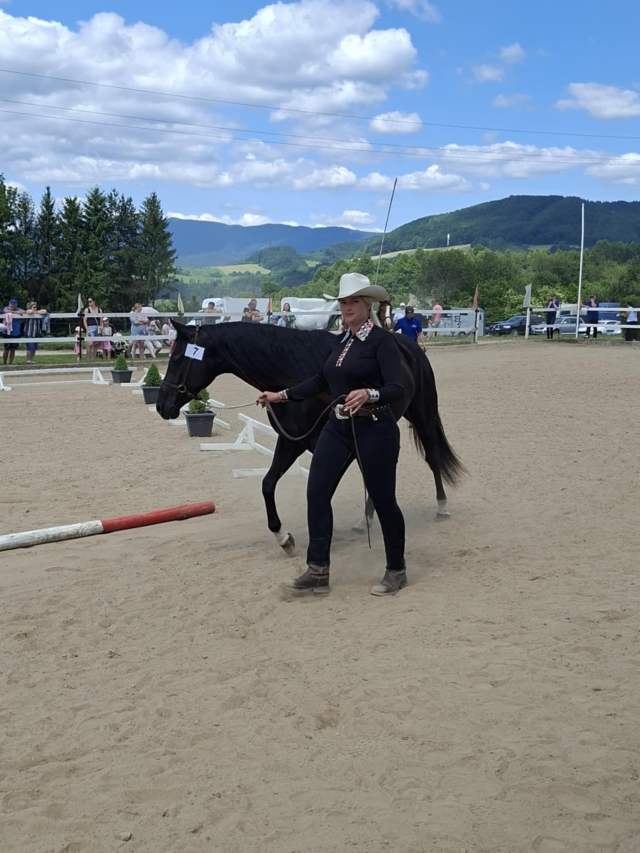 0e8503bb-d1f9-4b87-ab06-f2dae7b3f725